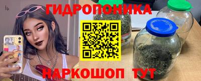 крисы Заволжье
