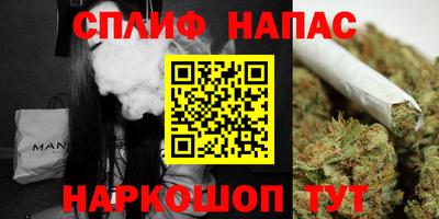 бошки Дубна