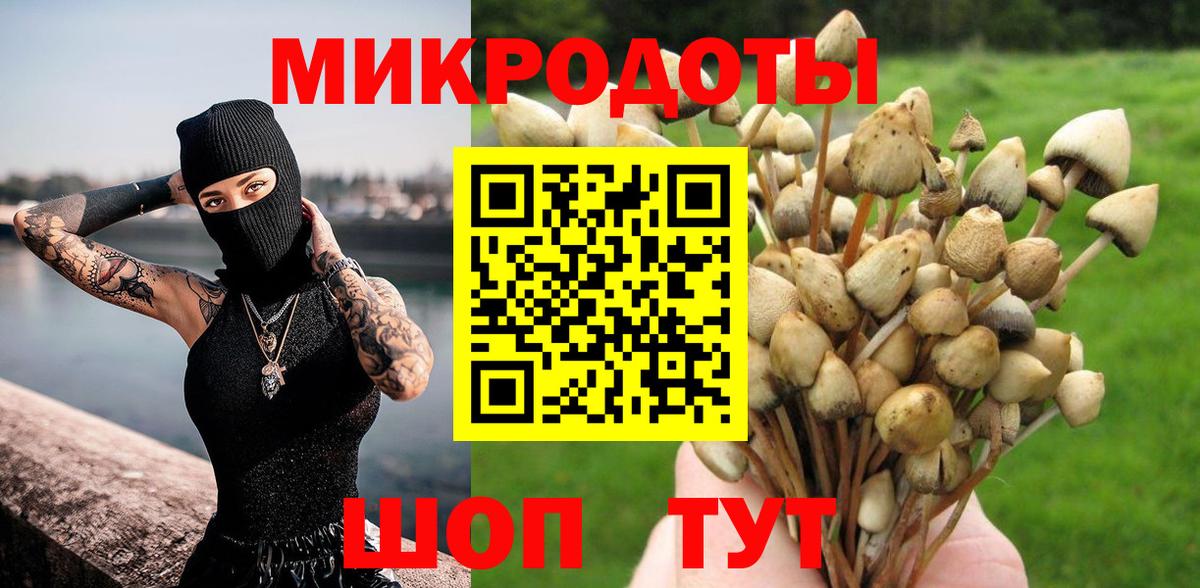 Галлюциногенные грибы Magic Shrooms  Галлюциногенные грибы прущие грибы  Вход с VPN  Лениногорск 